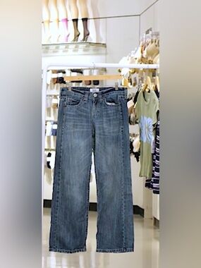 BDG Urban Outfitters Kayla Low Rise Straight Leg Jeans
